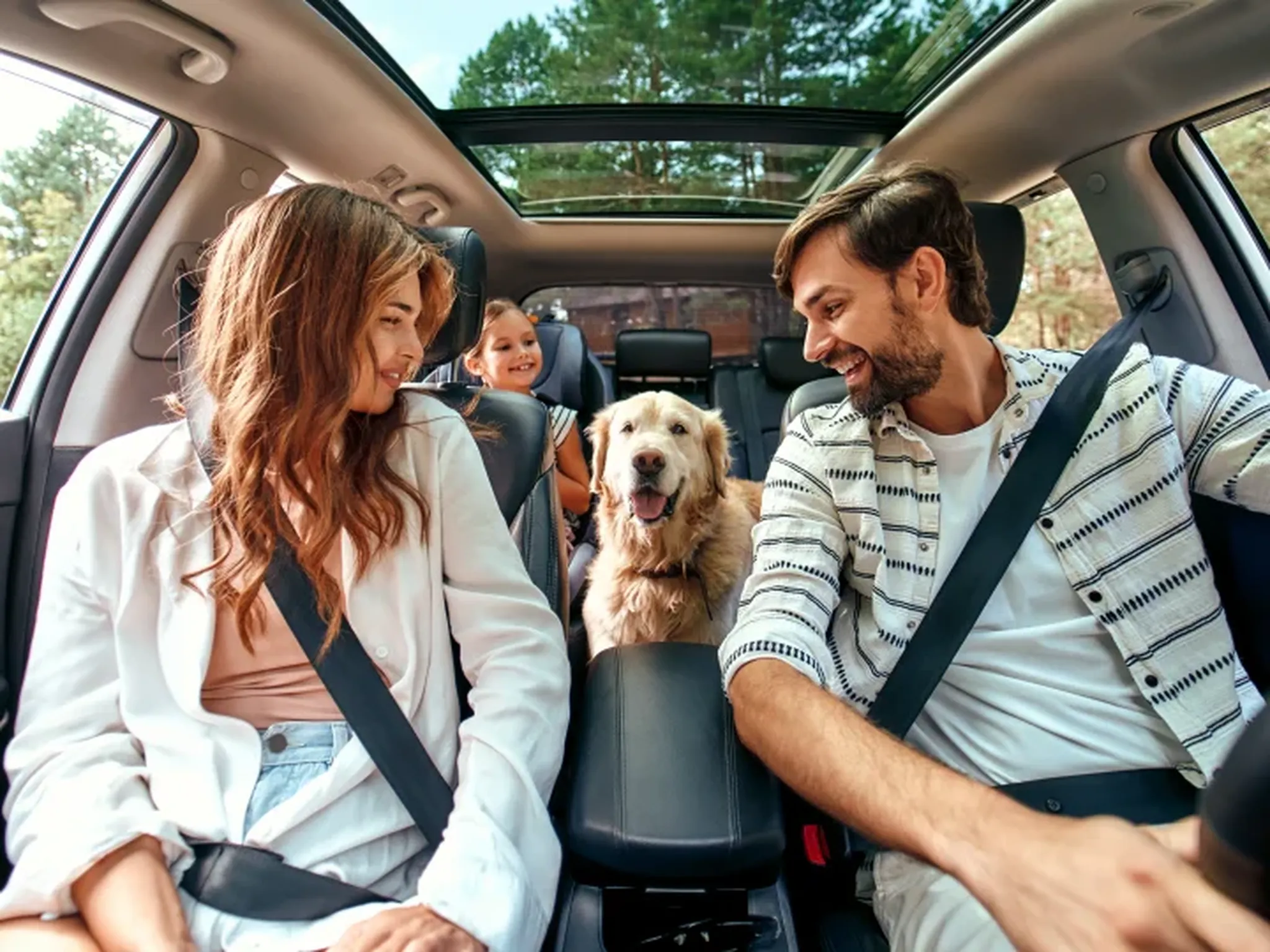 🐾 Pet-Friendly Memorial Day Retreats in Amish Country: Stay at Water’s Edge Cabins